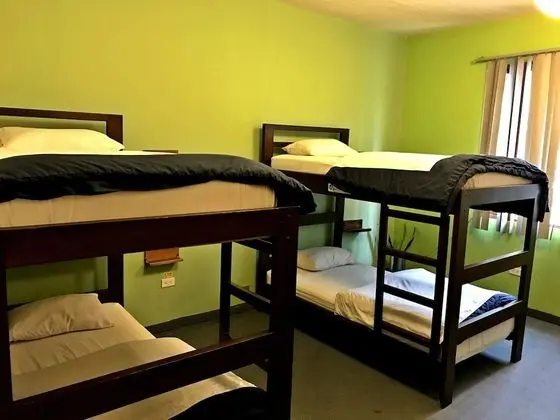 Basic Ortak Ranzalı Oda, Birden Çok Yatak Odası (4 beds)