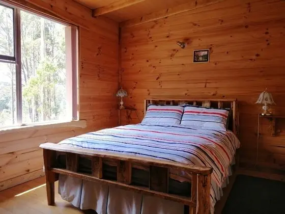 Family Kulübe (Cabin 1)