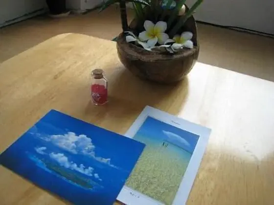 Traditional Dört Kişilik Oda, Sigara İçilmez, Bahçe Manzaralı (Japanese Style)