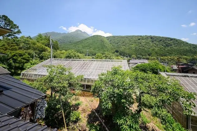 Traditional Oda (Standard Japanese Style, Suisen)