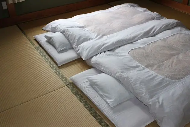 Traditional Oda (Japanese Style)