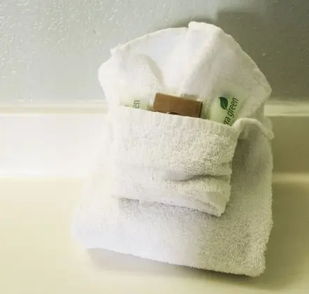 Deluxe Tek Kişilik Oda, 1 Çift Kişilik Yatak, Sigara İçilmez