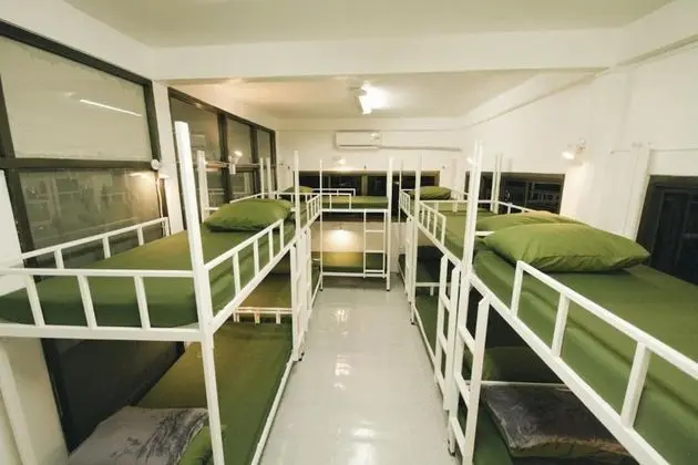 Bunk Bed in Mixed Dormitory Room