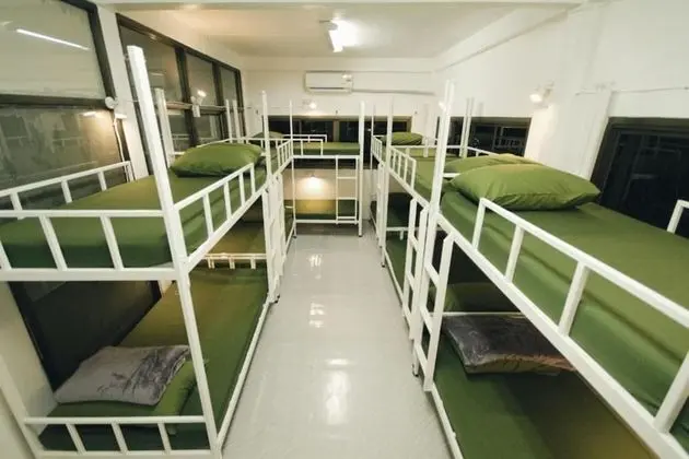 Bunk Bed in Mixed Dormitory Room