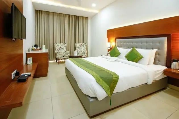 Premium Tek Büyük Yataklı Oda, Şehir Manzaralı