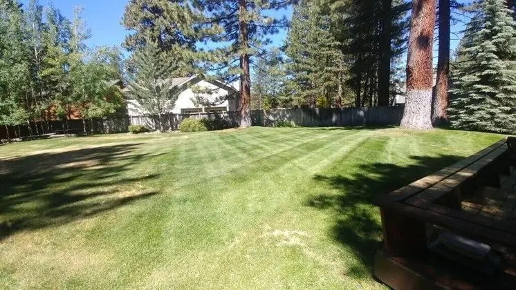 Ev (Minutes from Heavenly Valley & Lake T)