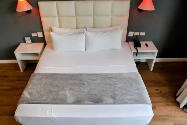 Deluxe Tek Kişilik Oda, 1 Yatak Odası, Şehir Manzaralı
