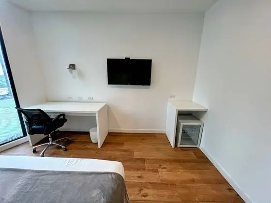 Deluxe Tek Kişilik Oda, 1 Yatak Odası, Şehir Manzaralı