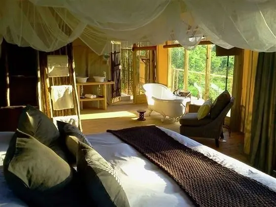 Elephant Camp - Elevated Tented Suites (1)