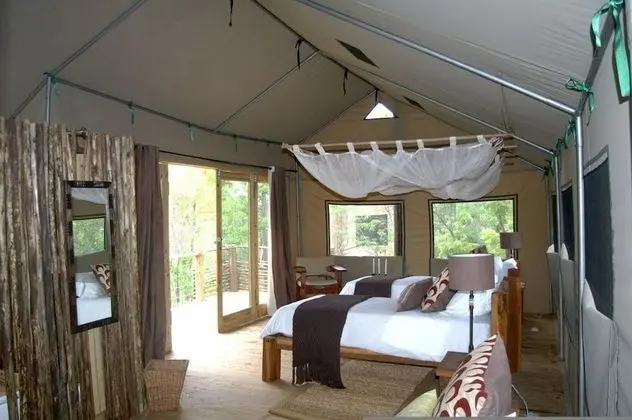 Elephant Camp - Elevated Tented Suites (1)