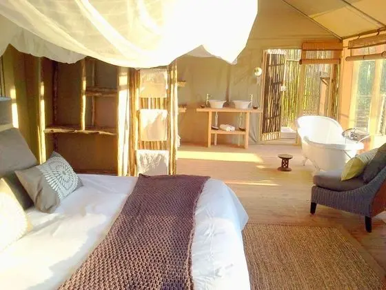 Elephant Camp - Elevated Tented Suites (1)