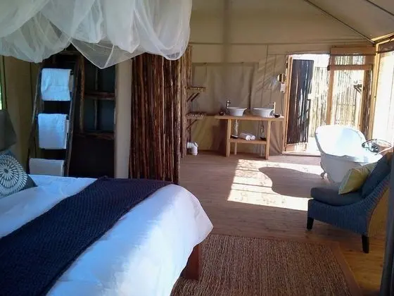 Elephant Camp - Elevated Tented Suites (1)