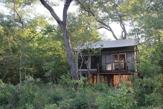 Elephant Camp - Elevated Treehouse (4)