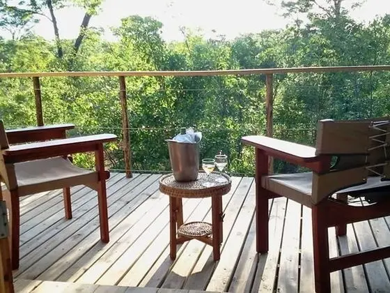 Elephant Camp - Elevated Treehouse (4)