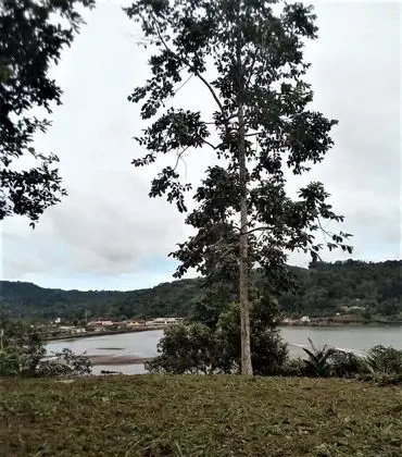 Çadır (No Tent or Bed provided)