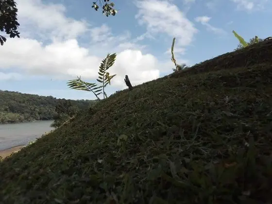 Çadır (No Tent or Bed provided)