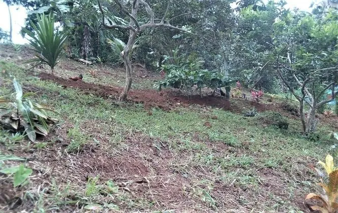 Çadır (No Tent or Bed provided)