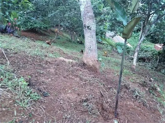 Çadır (No Tent or Bed provided)