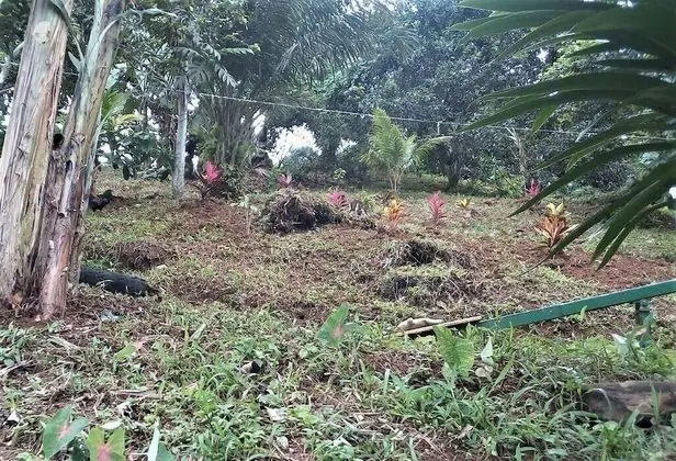 Çadır (No Tent or Bed provided)