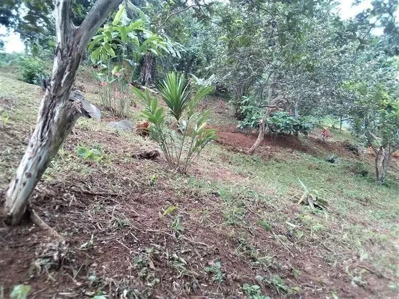 Çadır (No Tent or Bed provided)