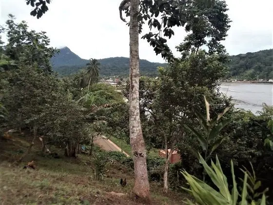 Çadır (No Tent or Bed provided)