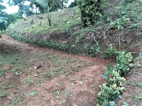 Çadır (No Tent or Bed provided)