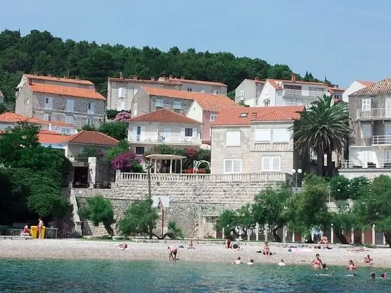 Stüdyo (Mir - perfect location & cosy - SA3(2)