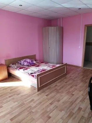 Süit