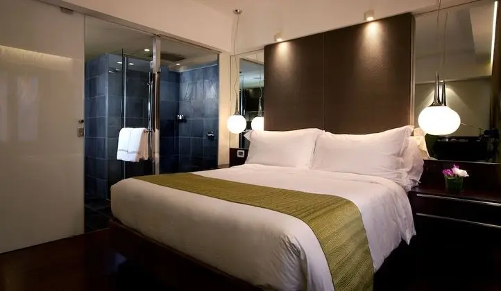 Standard Oda, 1 Çift Kişilik Yatak, Şehir Manzaralı (Studio Room)