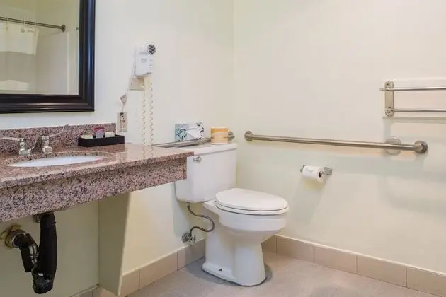 Standard Tek Büyük Yataklı Oda, 2 Büyük (Queen) Boy Yatak, Sigara İçilmez