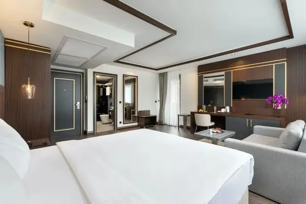 Premium Business Executive Oda