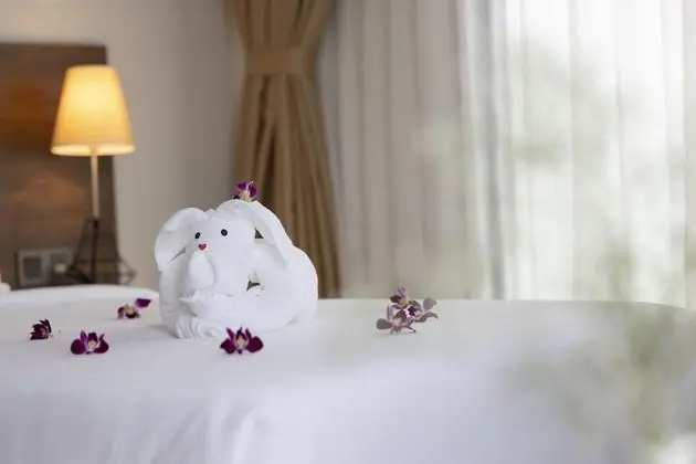 Senior Tek Büyük veya İki Ayrı Yataklı Oda