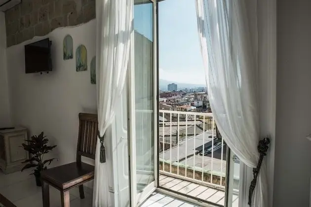 Traditional Tek Büyük Yataklı Oda, Buzdolabı, Şehir Manzaralı