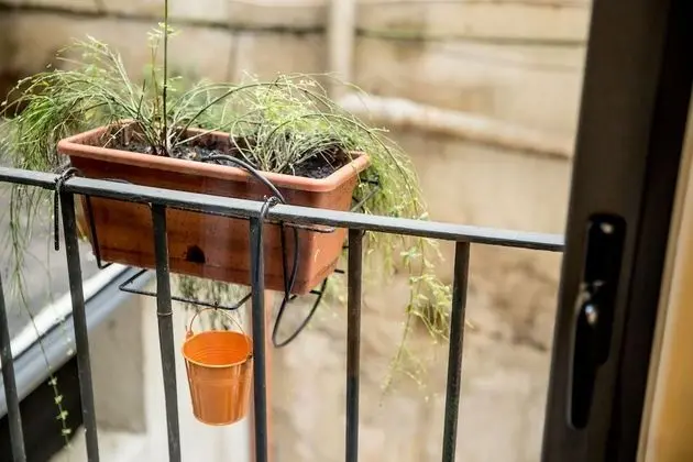 Deluxe Tek Büyük Yataklı Oda (2)