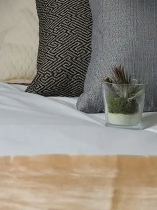 Tek Büyük Yataklı Oda, Teras (Tierra)