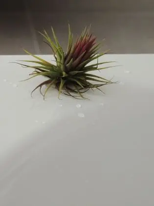 Üç Kişilik Oda, Bahçe Manzaralı (Agua)