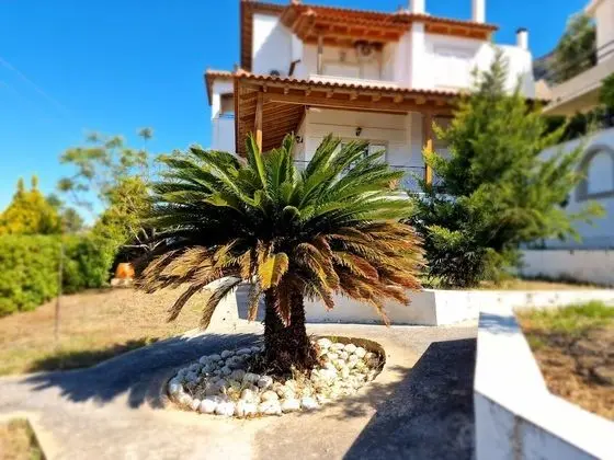 Villa, 4 Yatak Odası, Şömine