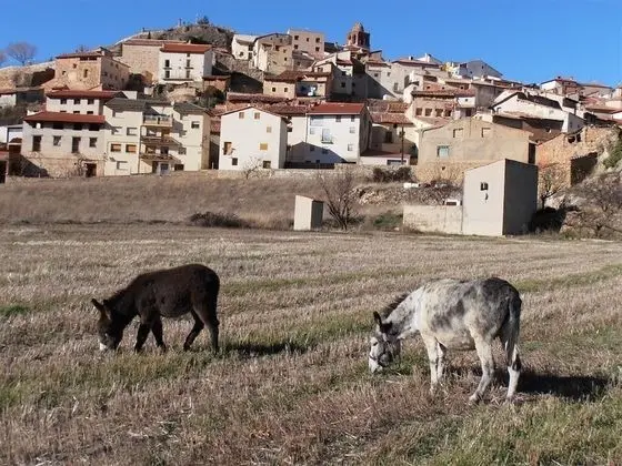 Apart Daire, Özel Banyo, Dağ Manzaralı (Los Pajarcicos- El Torero)