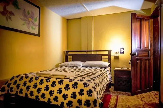 Standard Tek Büyük Yataklı Oda, 1 Çift Kişilik Yatak, Sigara İçilmez