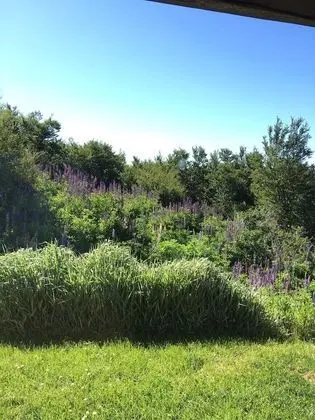 Family Bungalow, Mountain View (Dormi)