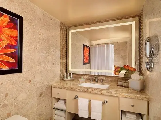 Accessible Resort King Roll-In Shower
