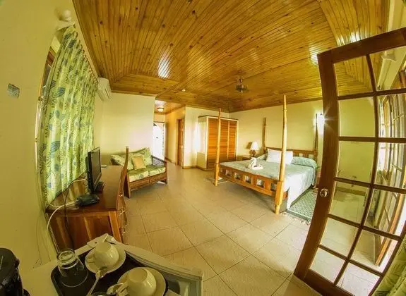 Deluxe Tek Büyük Yataklı Oda, Deniz Manzaralı (Third Floor)