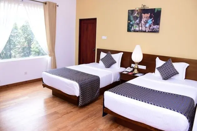 Deluxe Tek Büyük veya İki Ayrı Yataklı Oda