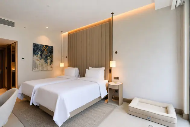 Ana Bina Deluxe Pet Friendly