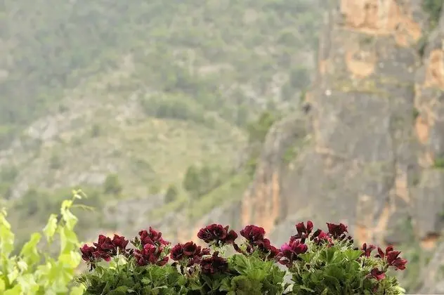 Tek Kişilik Oda, 1 Tek Kişilik Yatak, Vadi Manzaralı