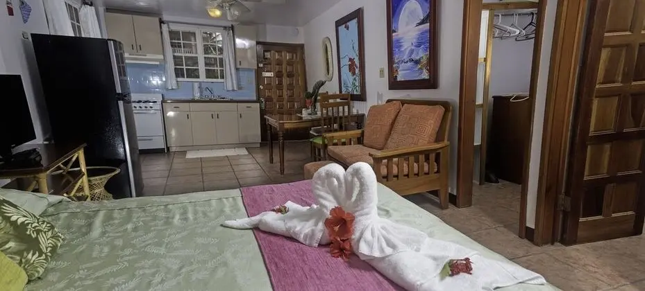 Stüdyo, 1 En Büyük (King) Boy Yatak, Mutfak, Havuz Kenarı