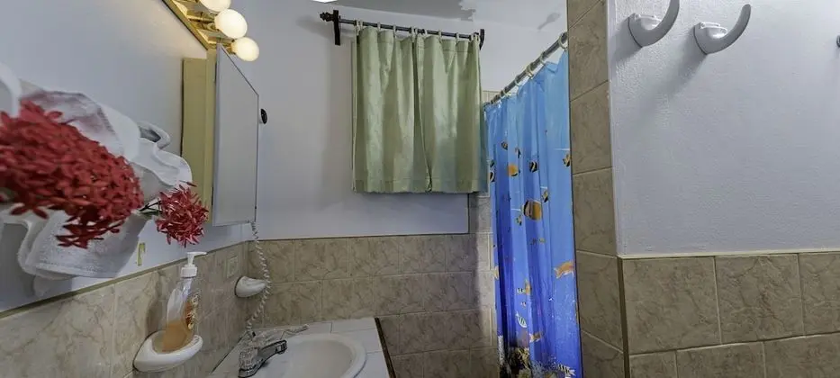 Stüdyo, 1 En Büyük (King) Boy Yatak, Mutfak, Havuz Kenarı