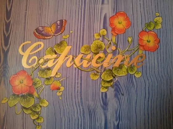 Büyük, Bir adet Çift Kişilik Yataklı, Panoramik Manzaralı