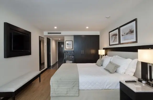 Superior Tek Büyük veya İki Ayrı Yataklı Oda