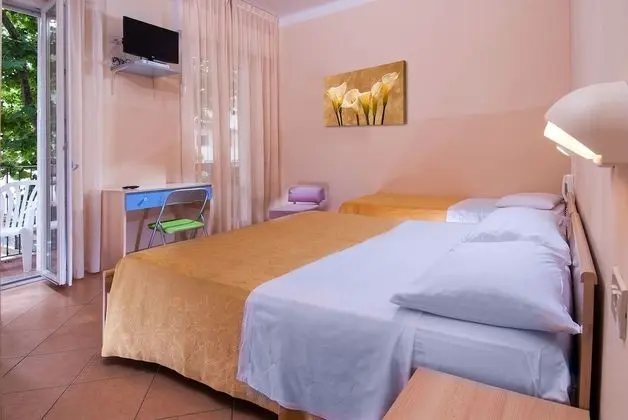 Basic Tek Büyük Yataklı Oda, 1 Çift Kişilik Yatak, Sigara İçilmez